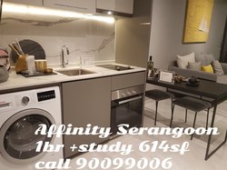 Affinity At Serangoon (D19), Apartment #175557082